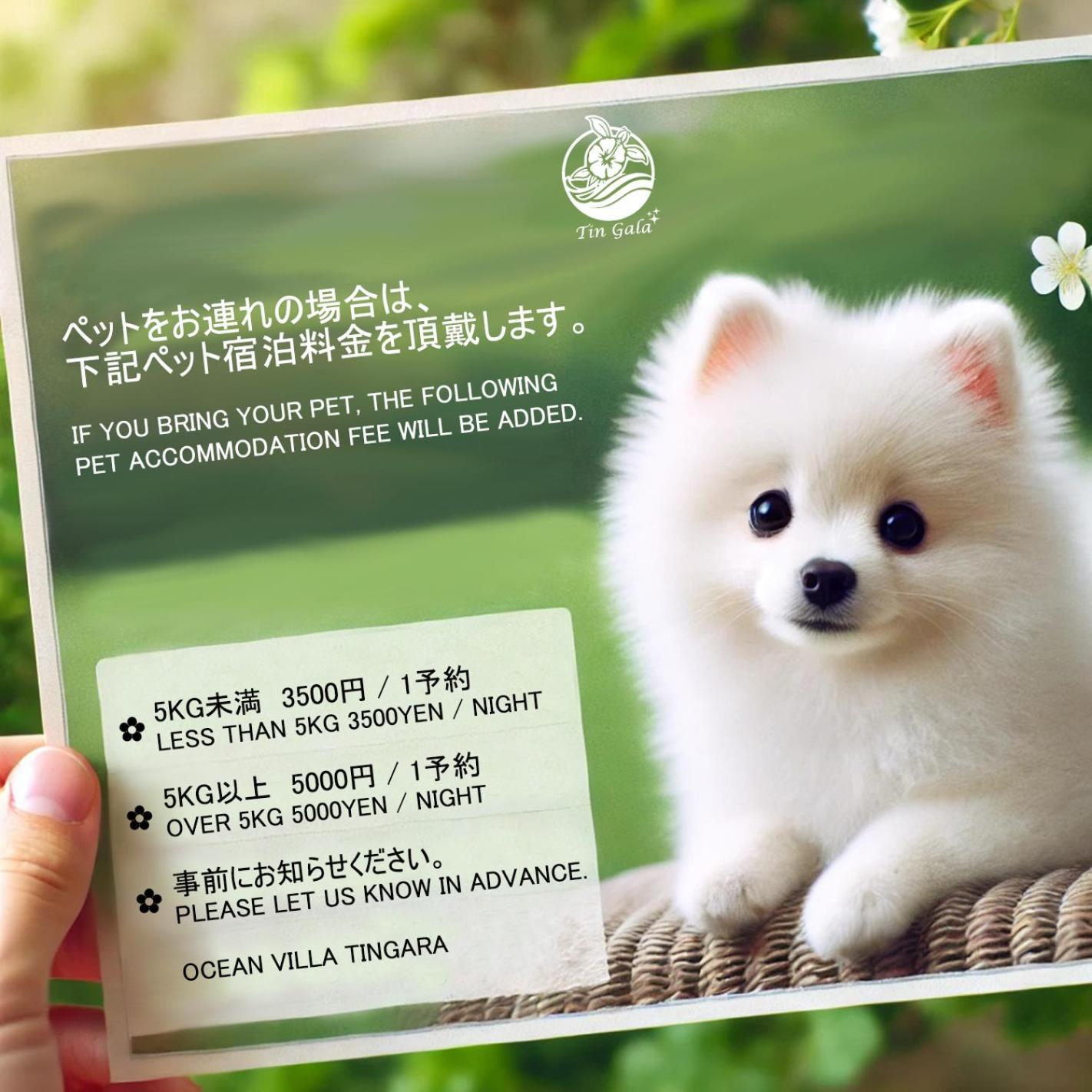 银河海洋度假公寓 恩纳 外观 照片